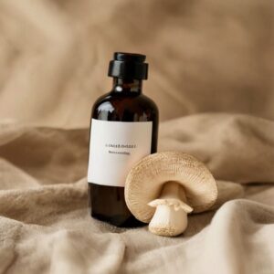 reishi mushroom relax